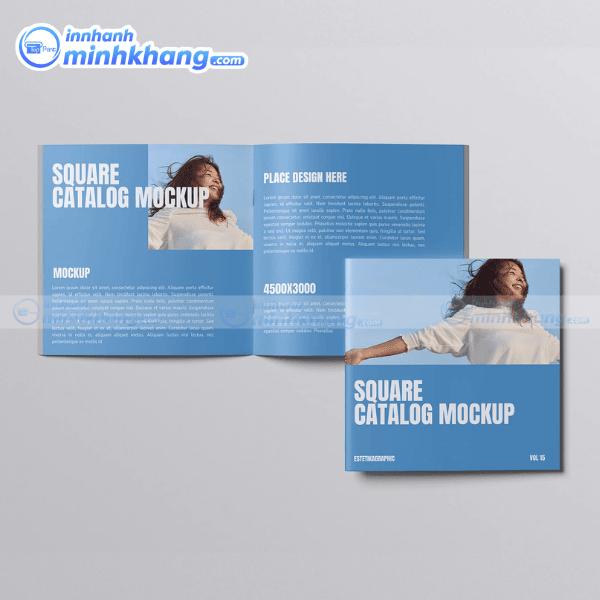 Mẫu catalogue mini bố cục rõ ràng dễ nhìn