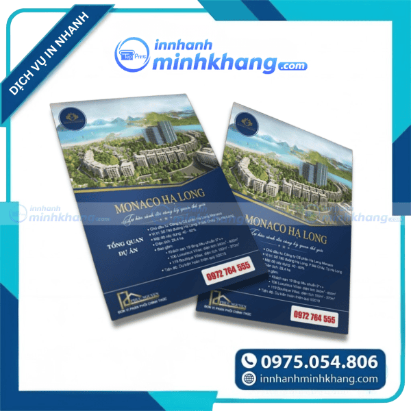 Mẫu tờ rơi bất động sản - Monaco Hạ Long