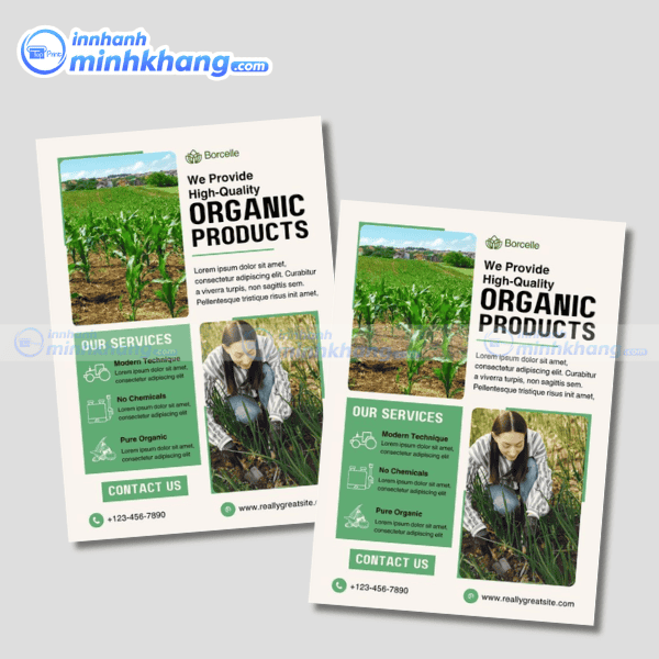 Mẫu tờ rơi nông nghiệp bố cục đẹp dễ đọc