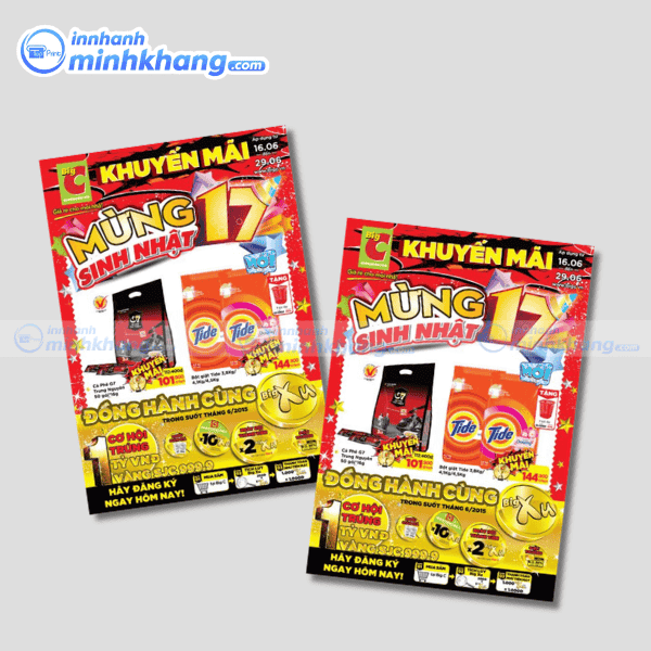 Mẫu tờ rơi siêu thị đẹp thiết kế hiện đại BigC