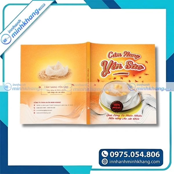 Mẫu thiết kế catalogue yến sào hiện đại thu hút khách hàng