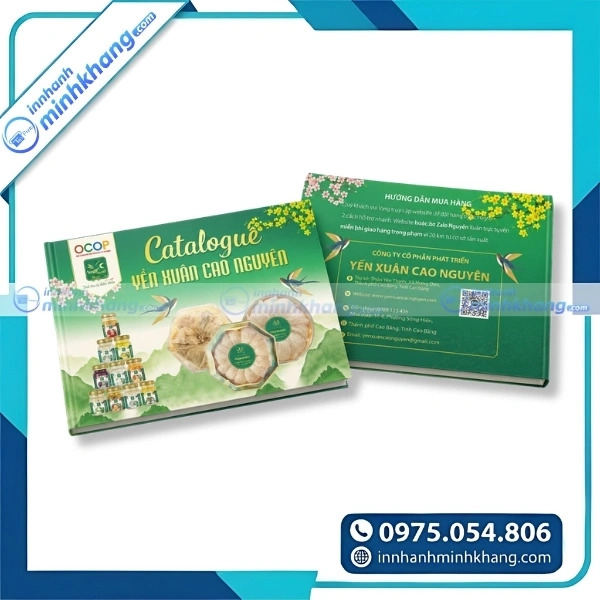Mẫu catalogue tổ yến sang trọng phục vụ quảng bá thương hiệu