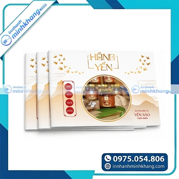 Mẫu catalogue giới thiệu sản phẩm yến sào cao cấp