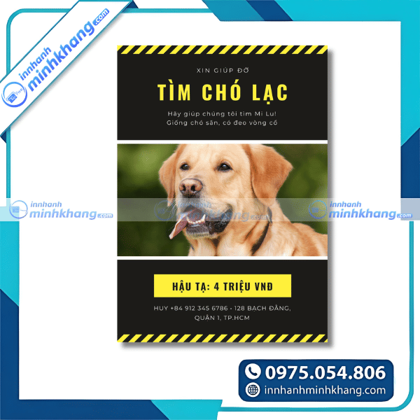 Mẫu tờ rơi tìm chó thất lạc chuyên nghiệp