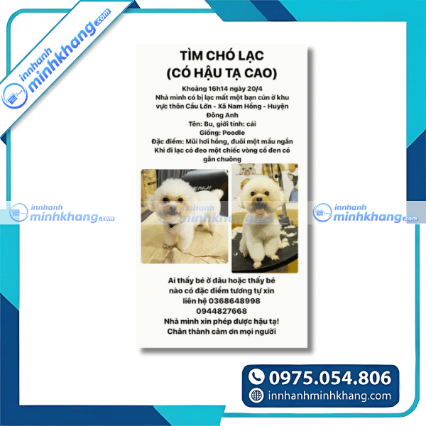 Mẫu flyer tìm chó đi lạc đẹp và thu hút