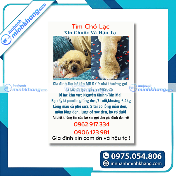 Mẫu giấy thông báo tìm chó cưng bị thất lạc