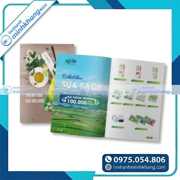 Mẫu catalogue quảng cáo sản phẩm chuyên nghiệp cho doanh nghiệp
