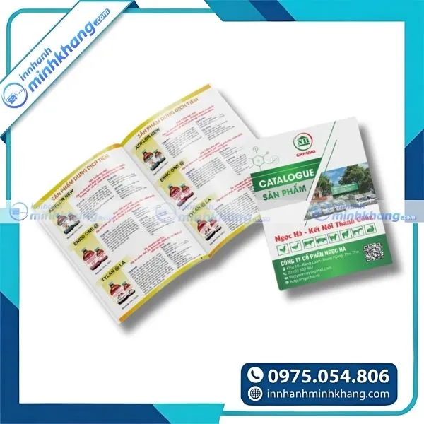 Mẫu catalogue sản phẩm sáng tạo dành cho chiến dịch marketing