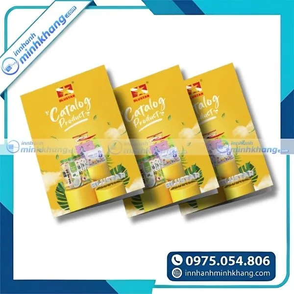Mẫu thiết kế catalogue sản phẩm ấn tượng giúp quảng bá thương hiệu