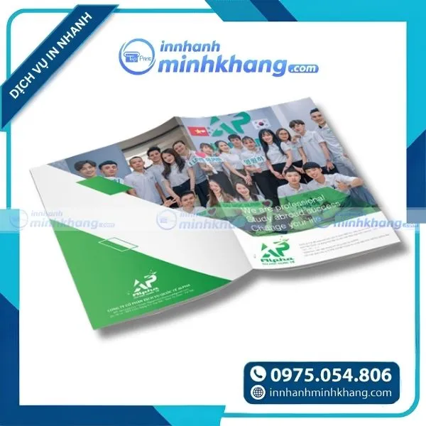 Mẫu catalogue giới thiệu năng lực công ty hiện đại