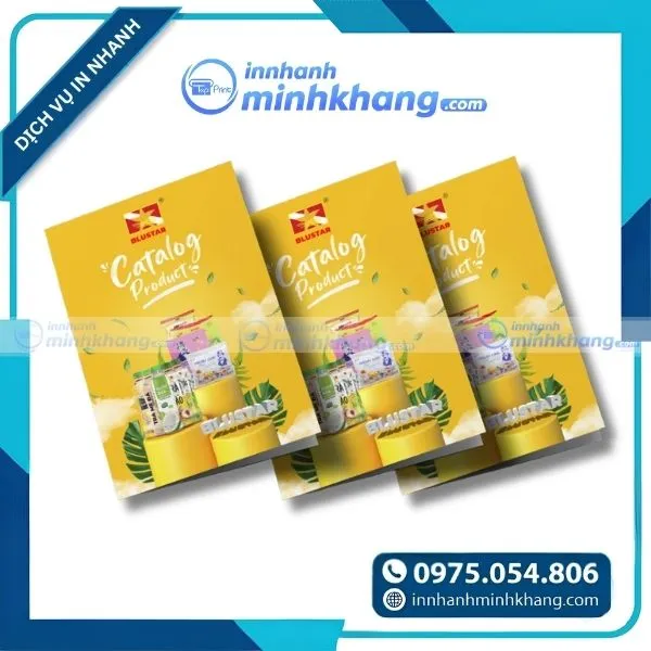 Mẫu catalogue giới thiệu sản phẩm chuyên nghiệp