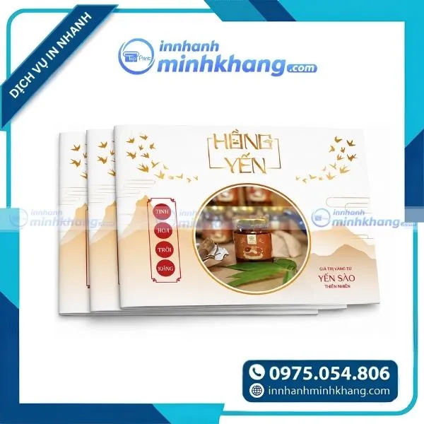Mẫu catalogue trưng bày yến sào đẹp chuẩn thương hiệu